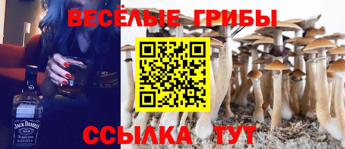 Галлюциногенные грибы прущие грибы Волжский